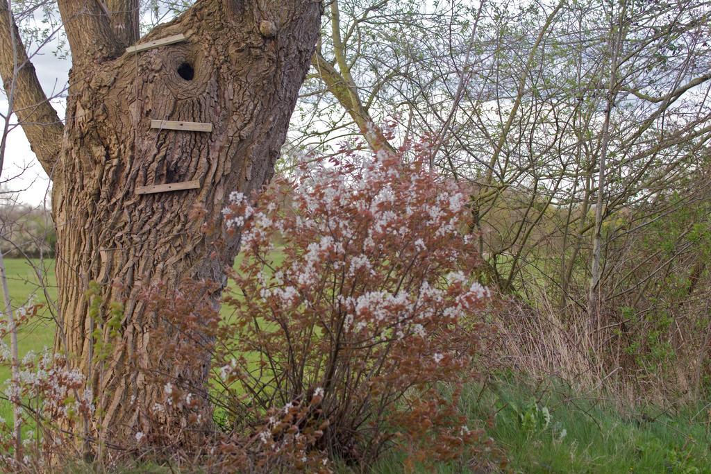 Bed and Breakfast Cuisinerie Mensinge With Dreams Roden Esterno foto